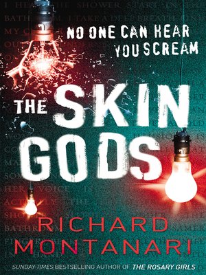 cover image of The Skin Gods
